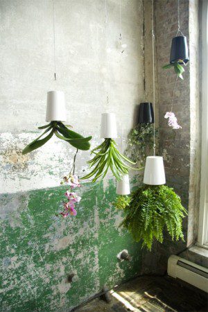 plantator-boskke-sky-prevratite-vash-mir-vverx-dnom-3 plantator-boskke-sky-prevratite-vash-mir-vverx-dnom-3
