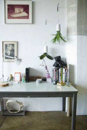 plantator-boskke-sky-prevratite-vash-mir-vverx-dnom-4 plantator-boskke-sky-prevratite-vash-mir-vverx-dnom-4