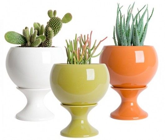 Красочная коллекция горшков для растений Красочная коллекция горшков для растений